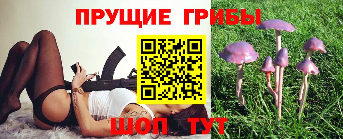 Галлюциногенные грибы Cubensis  Вход с VPN  Тамбов 