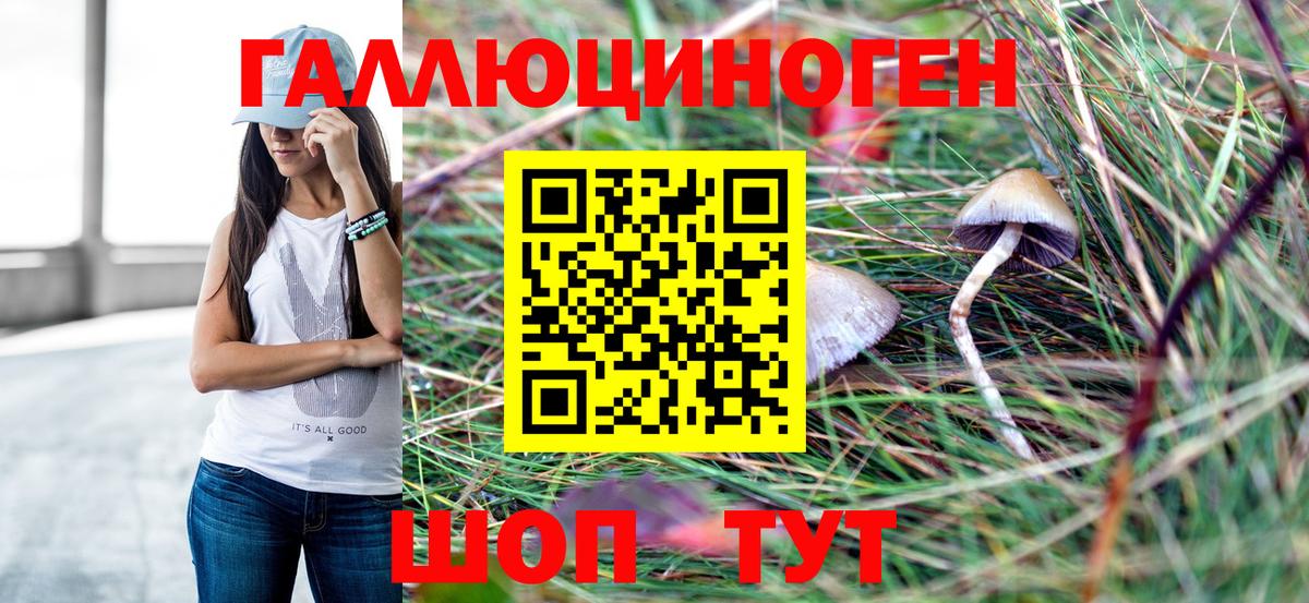 Псилоцибиновые грибы Psilocybe Тамбов