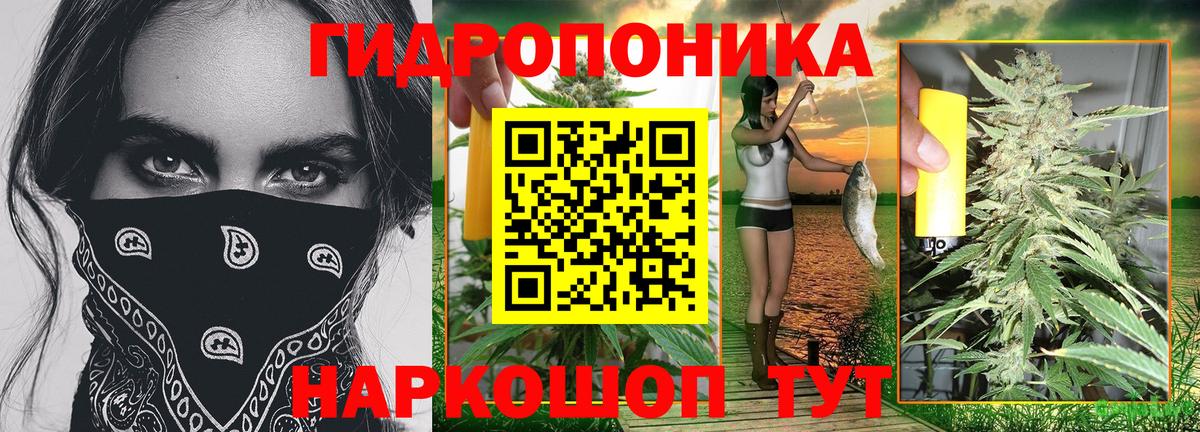 Тамбов  Бошки Шишки OG Kush  Вход с VPN  Конопля индика  МАРИХУАНА SATIVA & INDICA  Марихуана тримм 